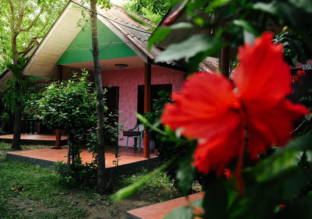 Coral Bungalows Haad Rin Luaran gambar